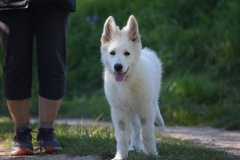 DSC_1031