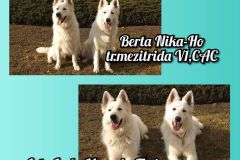 mvp-brno-astaberta-1.2.20